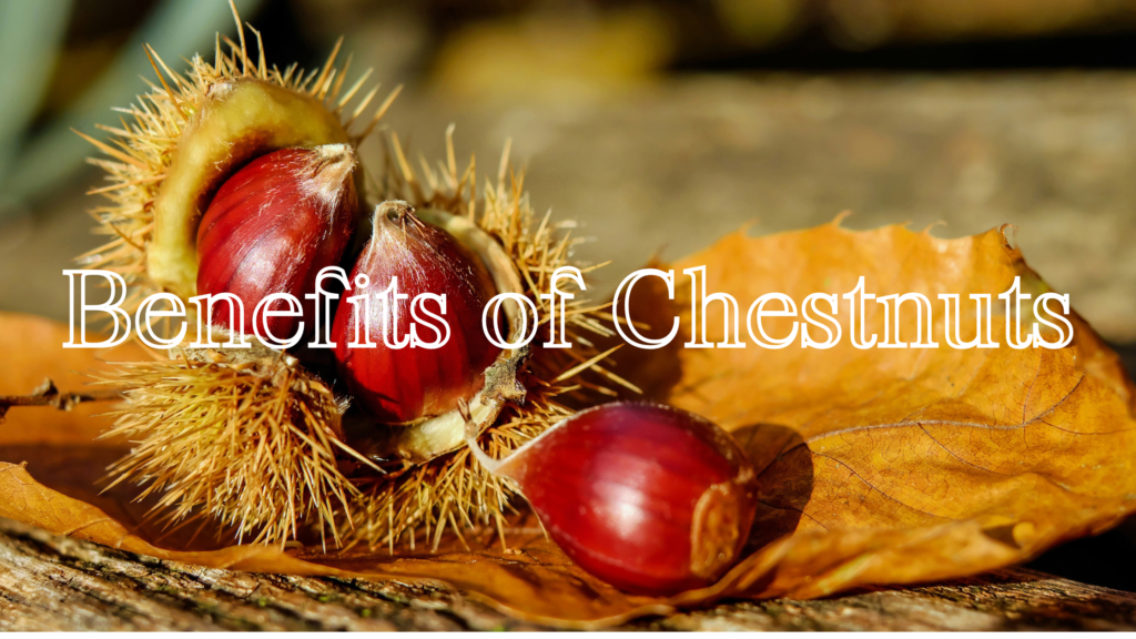 Health Benefits Of Chestnuts Uyir Organic Farmers Market