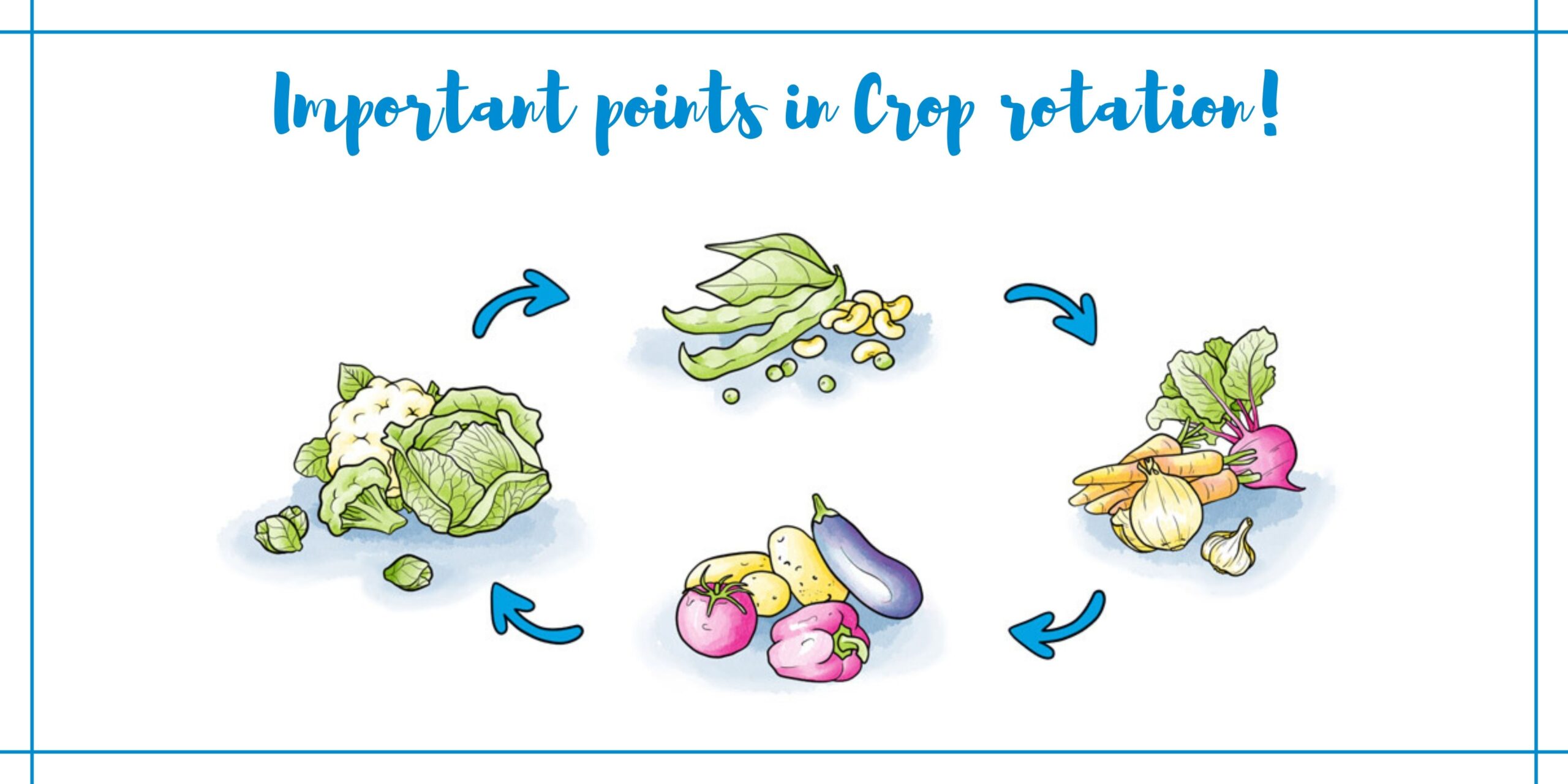 Crop Rotation: Benefits Of Using And Application Strategies