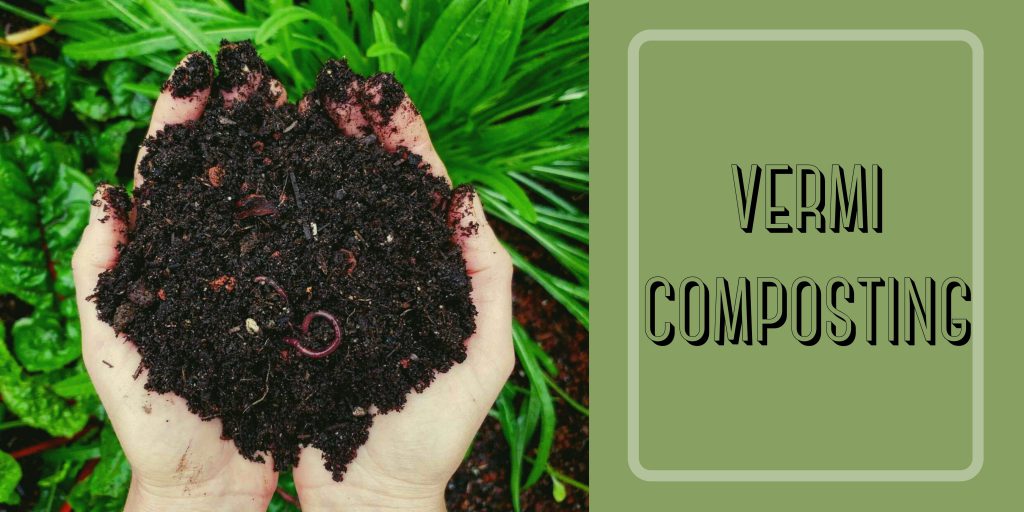 The A - Z of Vermicompost!+about vermicompost