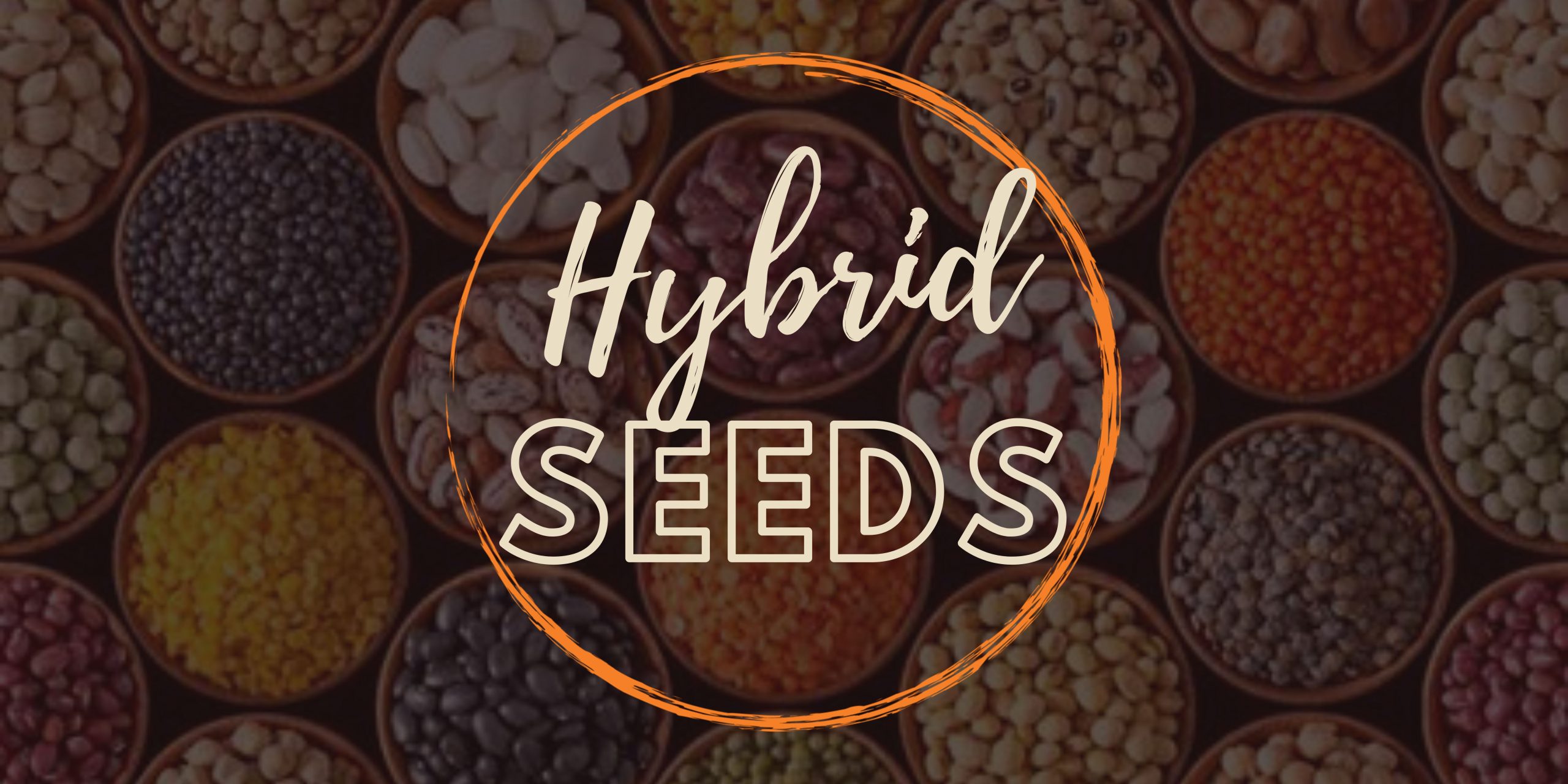 Organic and Heirloom Seeds: Benefits and What Makes Them Unique