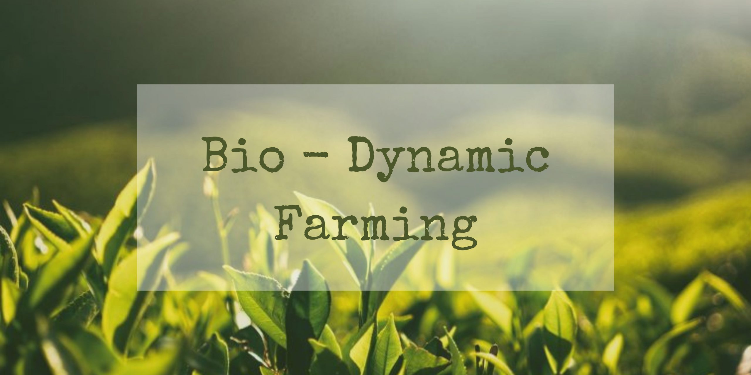 Why Is Everyone Talking About Biodynamic Farming? - Uyir Organic