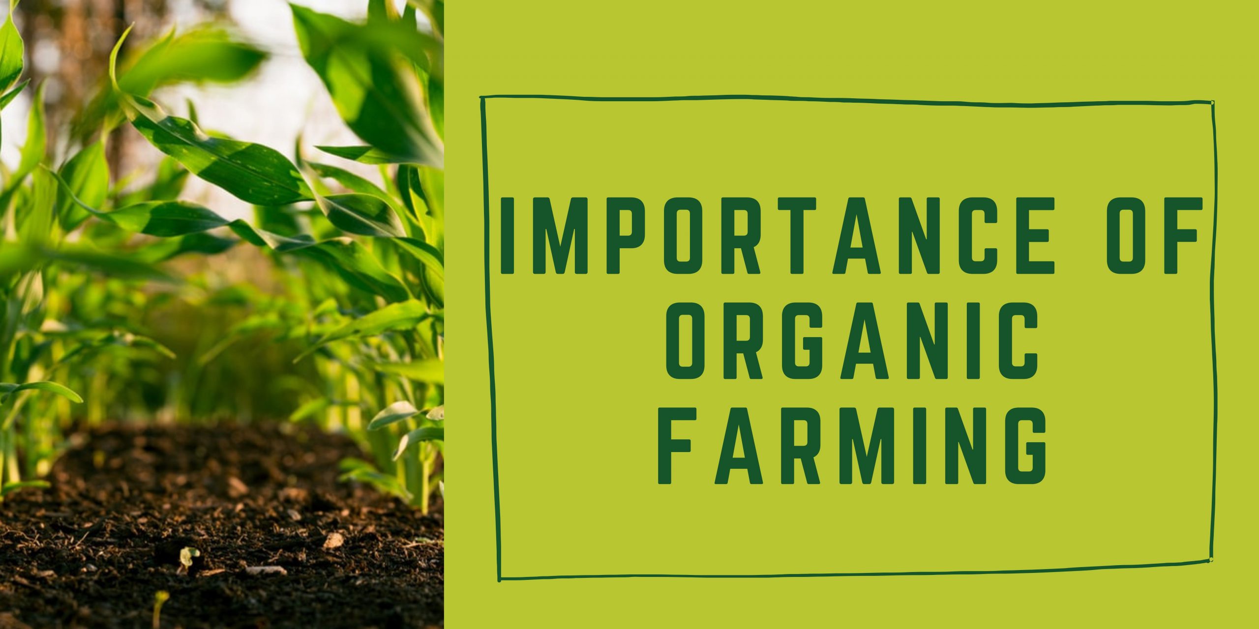 What Is Significance Of Organic Farming