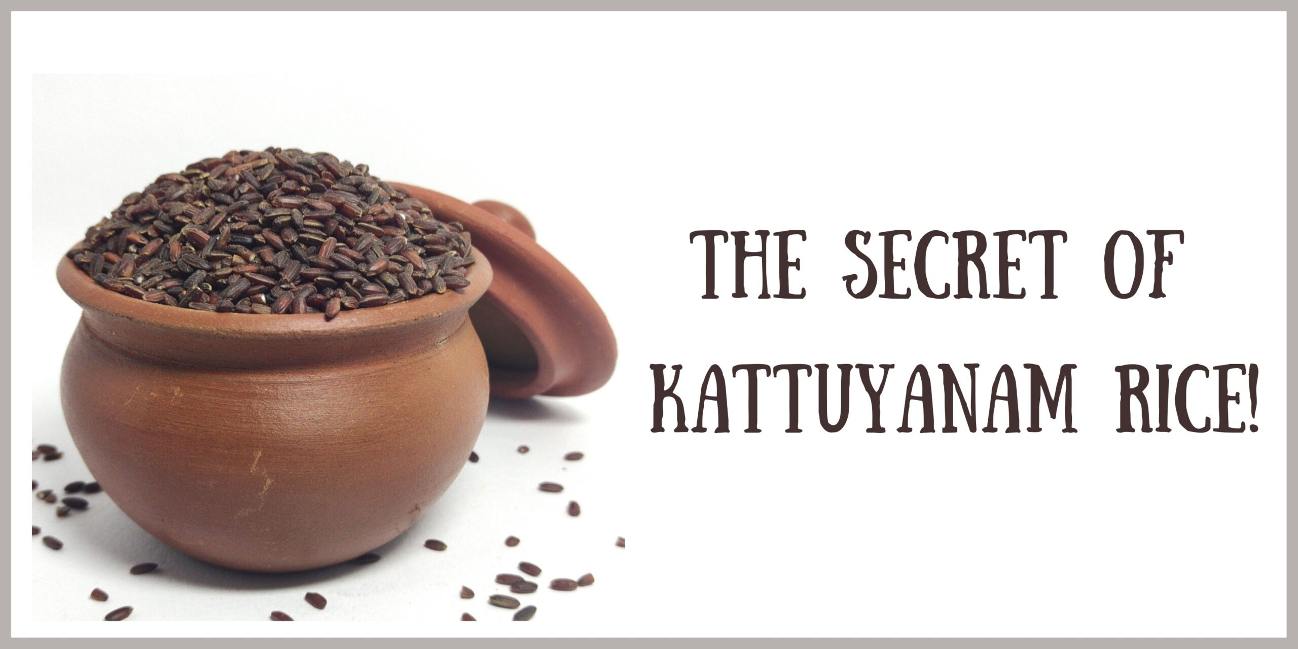 the-secret-of-kattuyanam-rice-uyir-organic-farmers-market