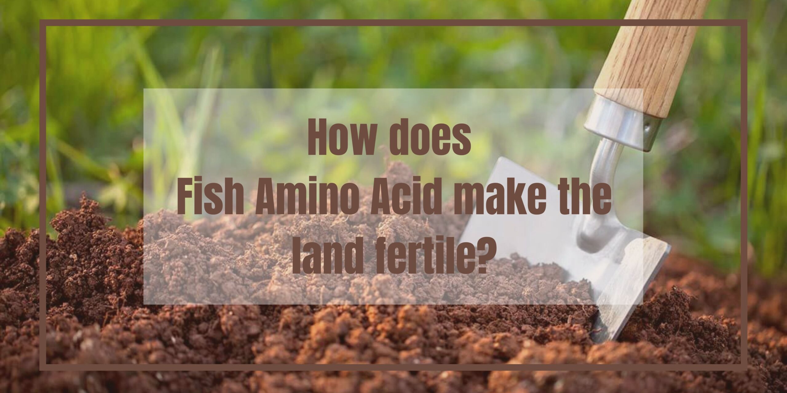 FISH AMINO ACID! Uyir Organic Farmers Market