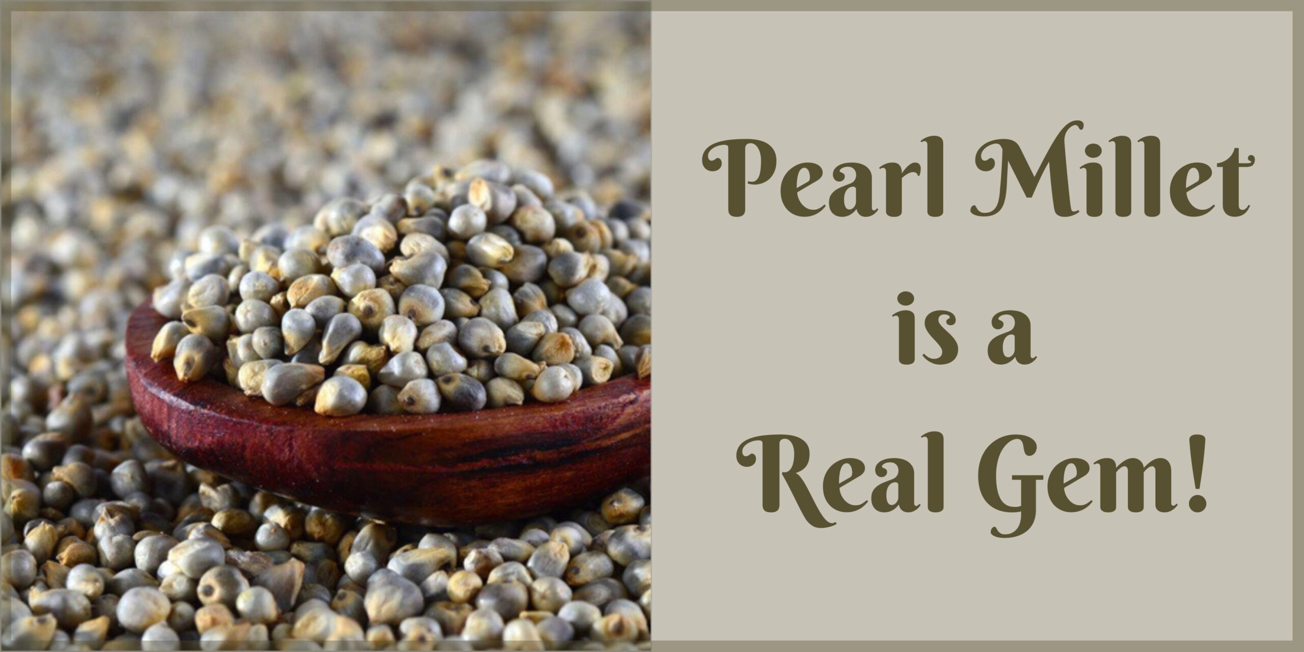 the-benefits-of-pearl-millet-uyir-organic-farmers-market