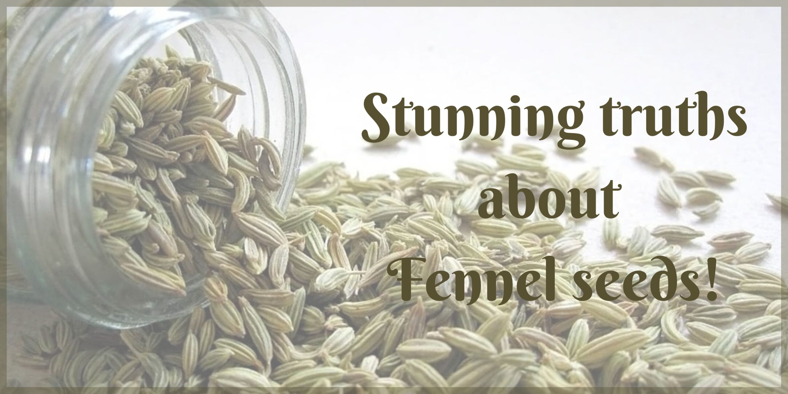 The Benefits of Fennel seeds Uyir Organic Farmers Market