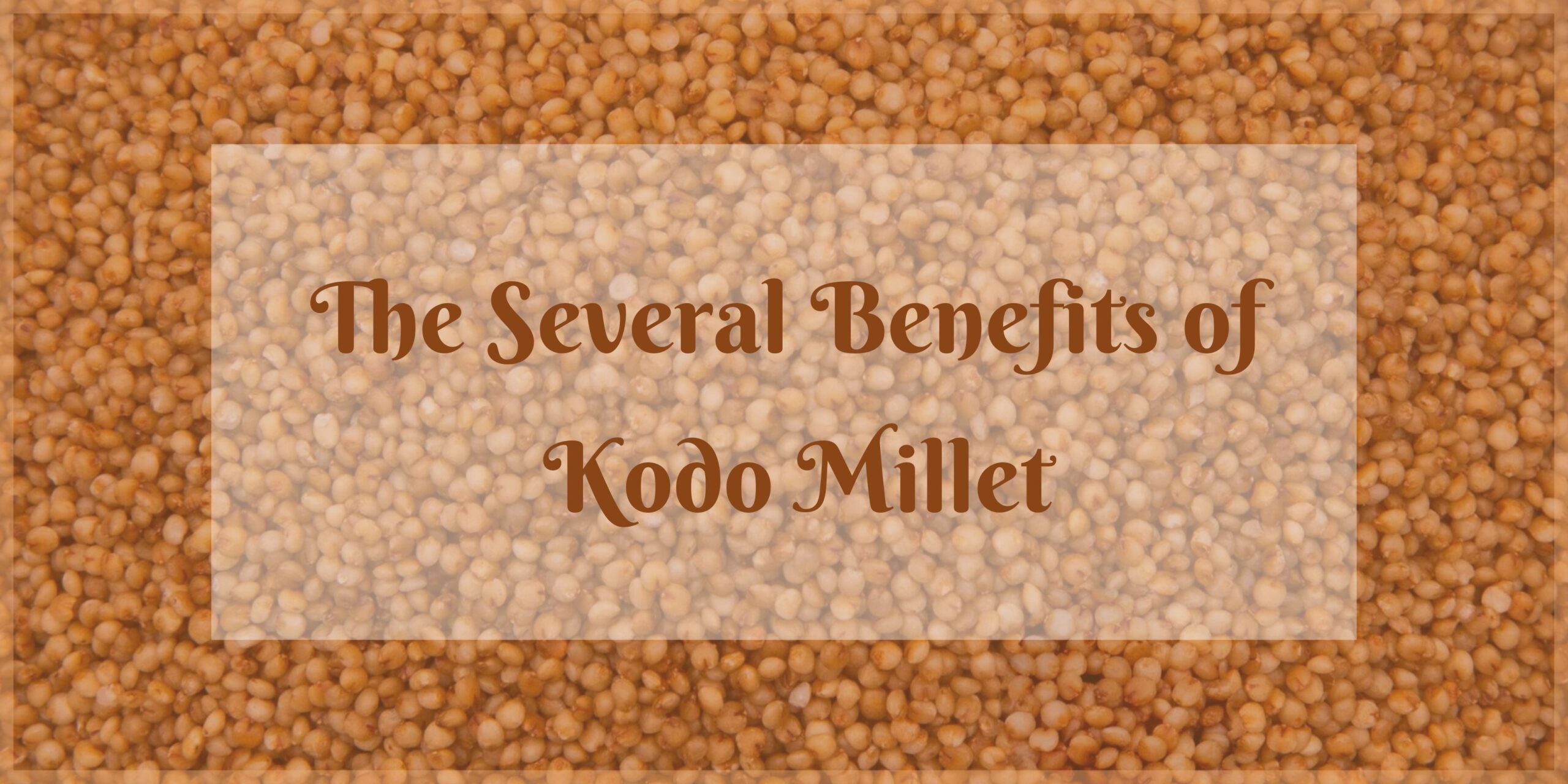 benefits-of-the-kodo-millet-uyir-organic-farmers-market