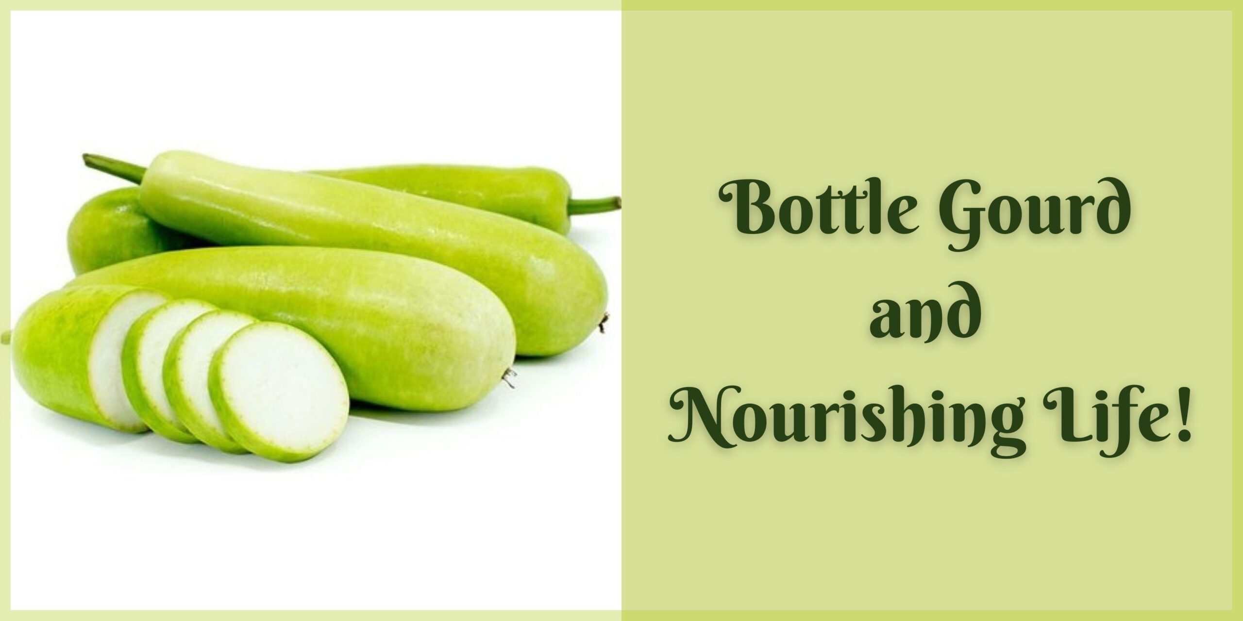 Bottle gourd and nourishing life! - Uyir Organic Farmers Market