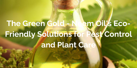 Everything You Need to Know About Neem Oil for Plants 2023