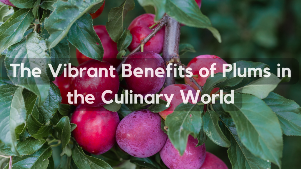 Exploring Benefits Of Plums | Uyir Organic Farmers Market