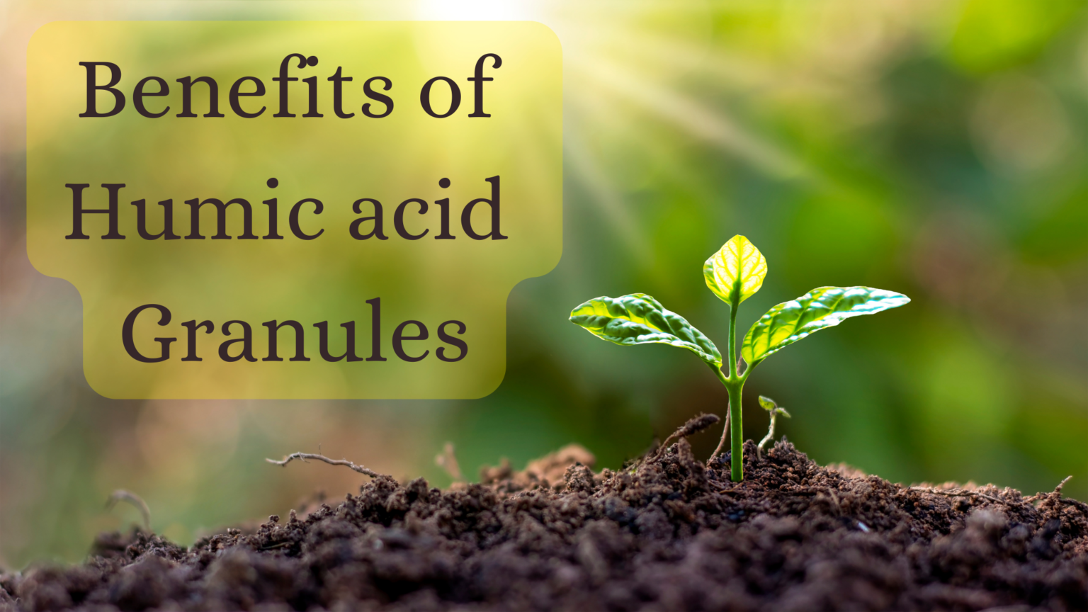 Humic Acid Granules benefits | Uyir Organic Farmers Market