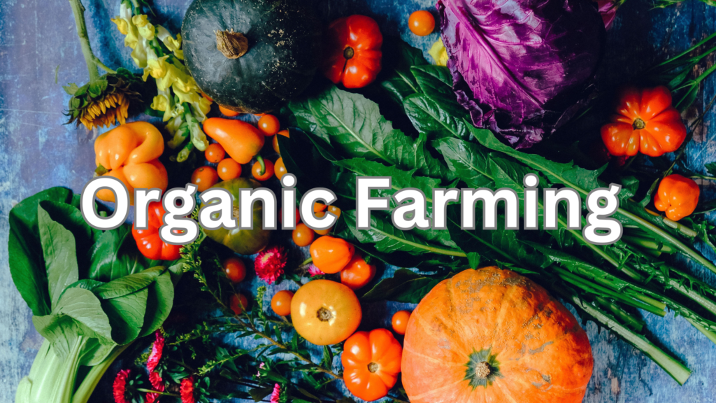 benefits of organic farming